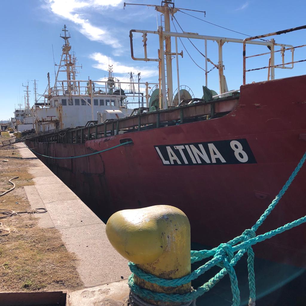 buque latina 8